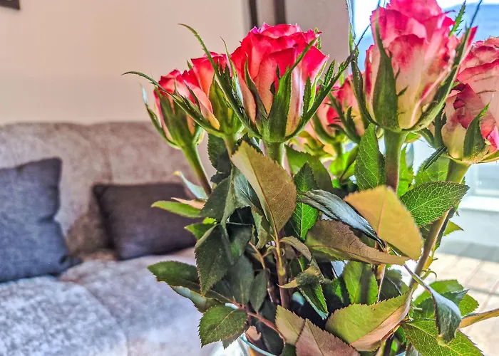 Glueck Auf By Interhome